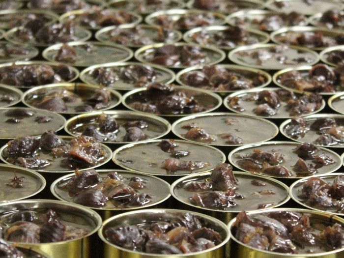 Indispensable pour réaliser une salade gourmande : les gésiers de