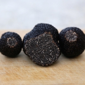 truffes noires prix