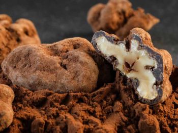 cerneau au chocolat dordogne périgord