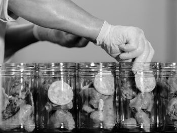 cassoulet au confit fabriqué dans notre conserverie artisanale à Brive en Corrèze