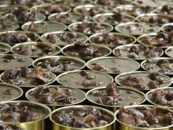 gésiers confits brive la gaillarde