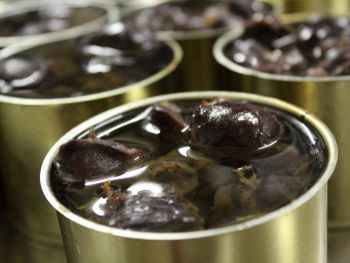 fabrication de gésiers de canard en corrèze