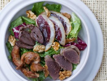 recette gesiers magret canard