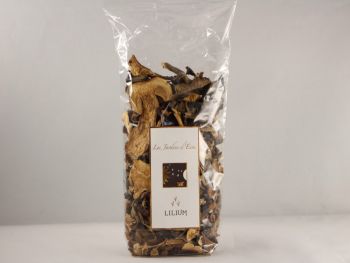 mélange de champignons séchés france