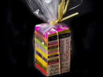 mini pyramide des tropiques pralus