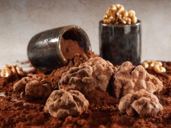 cerneau au chocolat dordogne p&eacute;rigord