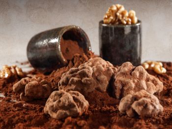 cerneau au chocolat dordogne p&eacute;rigord