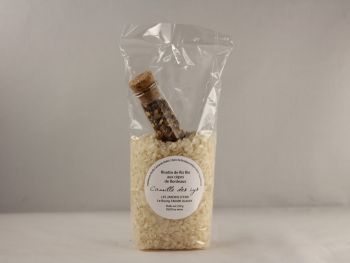 risotto aux cèpes de bordeaux